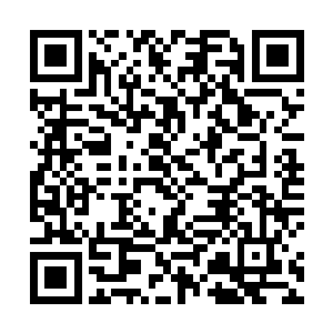 严默索性便把他教的三个班级的孩子全部亲自取了姓名二维码生成