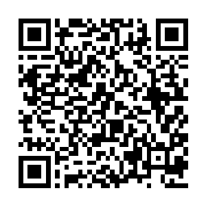 严默能感觉到他体内的所有细胞都变得异常活跃二维码生成
