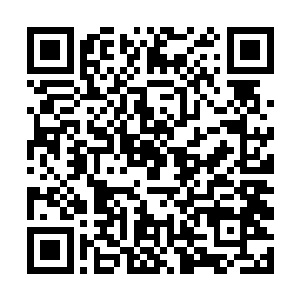 严默还特地在魂海中把这只穿沙甲的身体全部虚拟化二维码生成