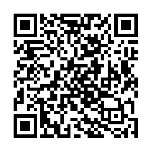 个人能力稍微有些不足的人早就变成了草原上的一具腐尸二维码生成