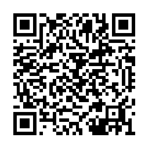 中军亲卫一千及大营里几支队伍还是聚拢在中营二维码生成