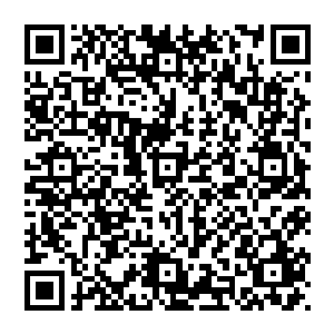 中华好声音节目组的工作人员和一些学员就认出了boss身旁的年轻女人是一周前突然出现又突然消失的二维码生成