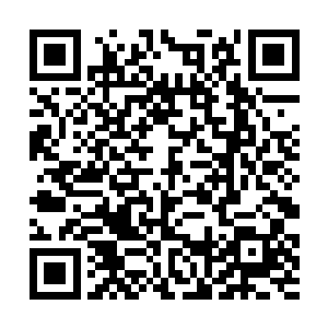 中南省现在几乎所有人都知道他司南下是罗明江的人二维码生成