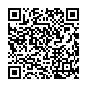 中国人从一开始就是宣传无条件投降者可以获得食物和饮水二维码生成