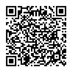 中国宣布将会向多尼亚派遣一个人数为700人的维和步兵营执行维和任务二维码生成