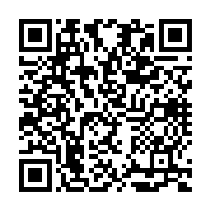 中国战队便再也没有夺得过任何一个lol赛事的世界冠军二维码生成