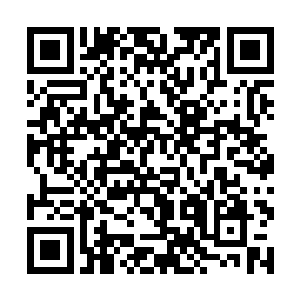 中国社会的各个方面在原有体系的框架下达到了极致二维码生成