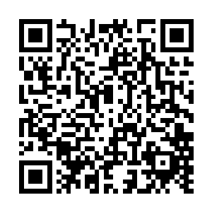 中国第一批飞机一共一百二十架已经下线调试完毕二维码生成