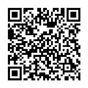 中央七台有个农业节目专门为农产品滞销卖难打广告二维码生成