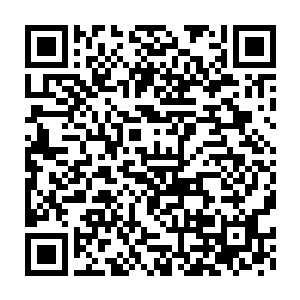 中央广场上的五百内堂弟子和五百外堂弟子在许浩博等人的带领下二维码生成