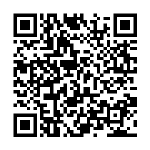 中央空调送来的阵阵冷风并没有让他感觉到多少凉意二维码生成