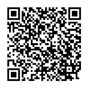 中年男子这才连忙收起有些遗憾的神色站起身来迎接摄政王和皇帝大驾二维码生成