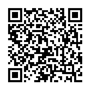 中年胖老板热情地欢迎了两位在宵禁之后还敢在城里乱逛的客人二维码生成
