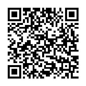 中的贝海脑子里全是自己的计划还有一些要考虑到的细节二维码生成