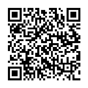中间的一个主船体弥补了前期方案内部空间不足的缺diǎn二维码生成