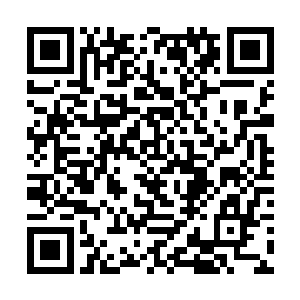 丰富的阅历让他根本就没有将我当成同一级别的对手二维码生成