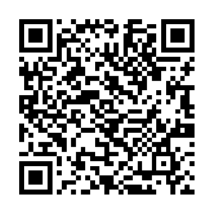 临了还不忘用一个小脸盆给十九次郎倒了一瓶二锅头二维码生成