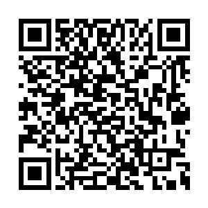 临时督查委员会更是打开了城堡的物资储备仓库二维码生成