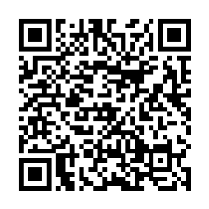 临走之前还求了李鸾儿得空的时候也给她画一幅牡丹图二维码生成