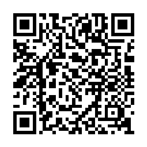 丹妮拉本人也未必真的乐意继续当马文的未婚妻二维码生成