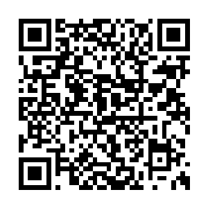 丹尼尔作为陪同人员的跟着他在努克稍微转了转二维码生成