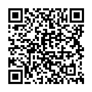 丹盟和星辰冒险团的修士各自布设出一个绝杀阵二维码生成