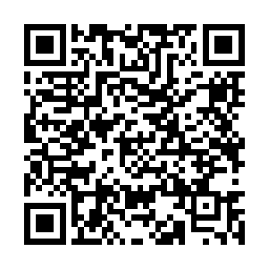 丹神境界这在以往的时候他可都连想都不敢想象的二维码生成