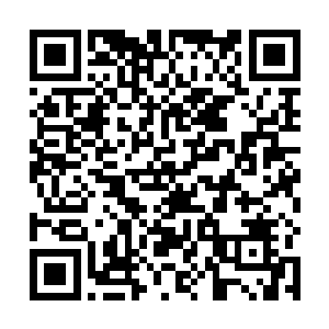 为了争夺跟随黑珍珠号探索死亡岛的权利和团队杀戮值二维码生成