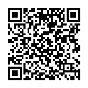 为了掌握粒子方程不得不硬着头皮啃高等数学的遭遇二维码生成