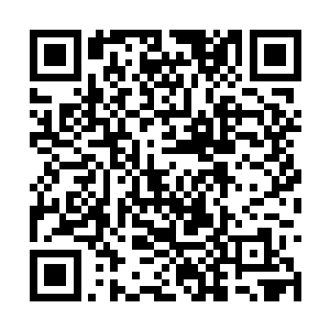 为了掩护自己他的父亲显然也是付出了不小的代价二维码生成