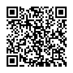 为了洛天星的病情展开了一次又一次的讨论会诊二维码生成