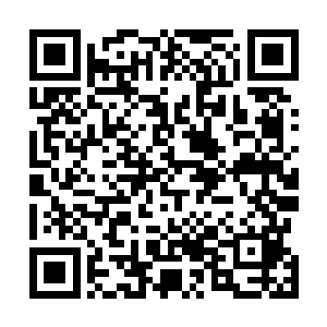 为了离开这里他把搜集到的吃的和水还有药材都集中起来二维码生成