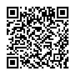 为了避免损害到他的百万身家或者她的精神健康二维码生成