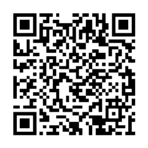 为什么不公布奔驰车里搜出来的白色粉末是什么二维码生成