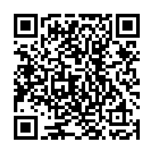 为什么与皇极碧落丹放在一起的宝物竟然只是一截剑柄二维码生成