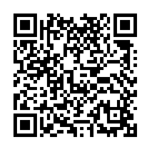 为什么云鹤仙子会在许紫烟的身上下如此大的功夫二维码生成