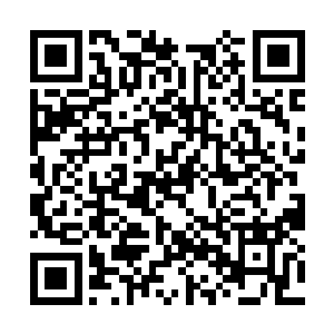 为什么会忽然采取这种极端的手段进攻花果山妖城二维码生成