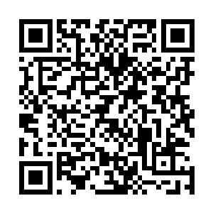 为什么会有一个和你如此相像的人在打劫进出炼器城的修士二维码生成