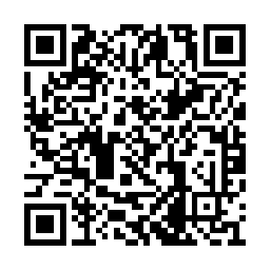 为什么华纳和福克斯一定要让我把派对放在家里二维码生成