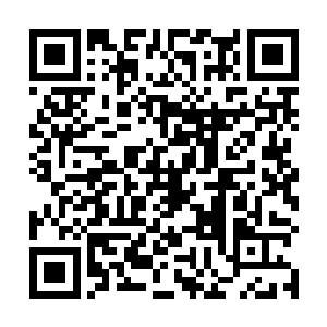 为什么印象里一直很活泼的罗瑞今天见了自己都没吱声二维码生成