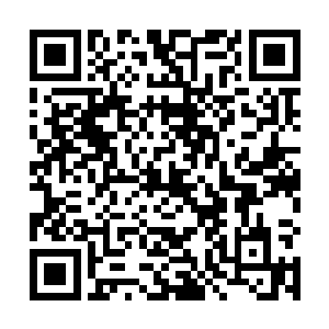 为什么在这个地方会有这样一头和恶一样逆天的鬼东西二维码生成