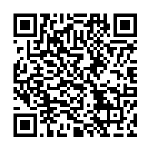 为什么多伦多电影节最后由观众票选出的观众选择大奖影片二维码生成