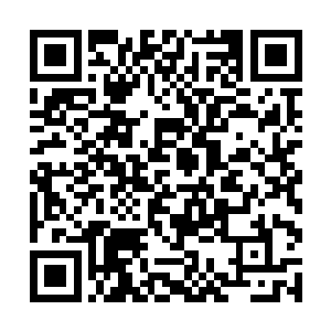 为什么您会让我们在这里集结这么多人袭击那几个人二维码生成