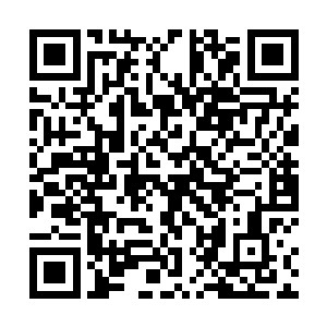 为什么每个士兵身上都穿着我们的将军才有的精良甲胄二维码生成