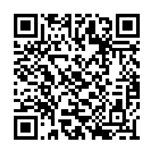 为什么现在自己能跟苏芷妍她们相处得如此融洽二维码生成