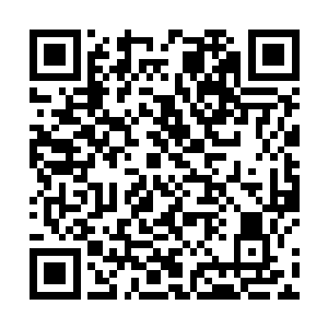 为什么皮君子之前的那位寨主要把皮君子的手下给召回二维码生成