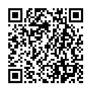 为什么眼睁睁的看着她去送死……肖红一遍遍地解释二维码生成