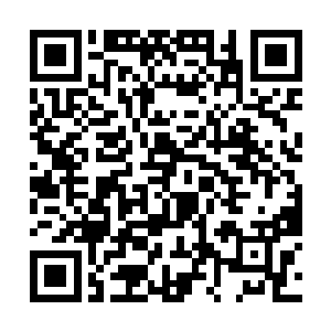 为什么突然出现一个能把那种恐怖进攻吞噬掉的护罩二维码生成