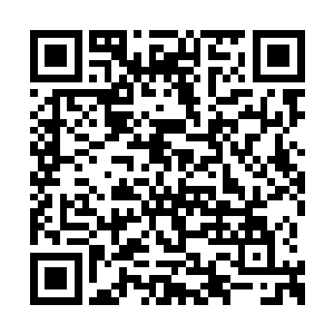 为什么自己会对一个没有元力的凡人产生恐惧呢二维码生成