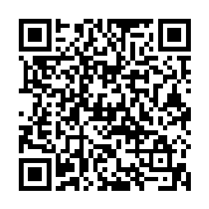 为什么自己会对一条小小的东西有了一种奇怪的害怕感二维码生成